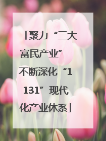 聚力“三大富民产业” 不断深化“1131”现代化产业体系