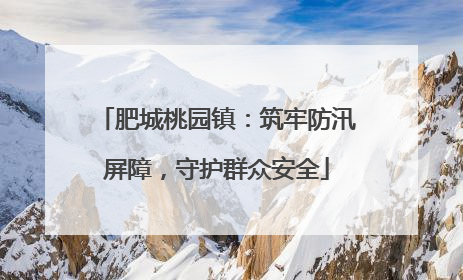 肥城桃园镇：筑牢防汛屏障，守护群众安全