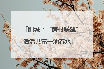 肥城：“跨村联建”激活共富一池春水