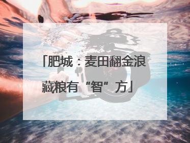 肥城：麦田翻金浪藏粮有“智”方