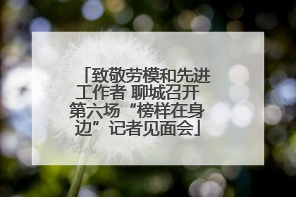 致敬劳模和先进工作者 聊城召开第六场“榜样在身边”记者见面会