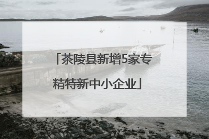 茶陵县新增5家专精特新中小企业