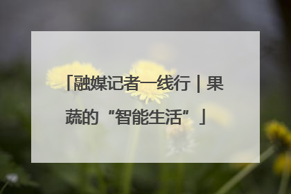 融媒记者一线行｜果蔬的“智能生活”