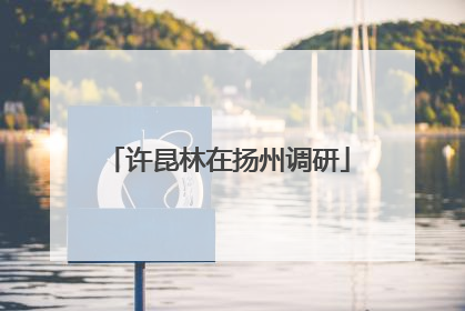 许昆林在扬州调研