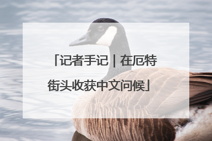 记者手记｜在厄特街头收获中文问候