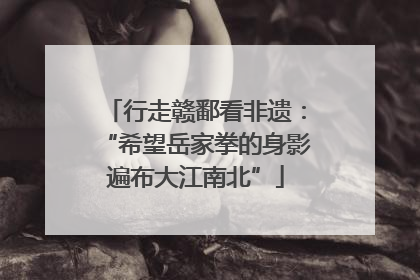 行走赣鄱看非遗：“希望岳家拳的身影遍布大江南北”