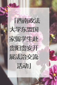 西南政法大学东盟国家留学生赴贵阳贵安开展法治交流活动