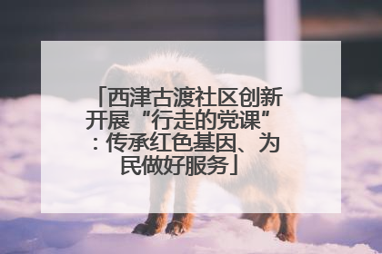 西津古渡社区创新开展“行走的党课”：传承红色基因、为民做好服务