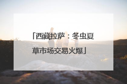 西藏拉萨：冬虫夏草市场交易火爆