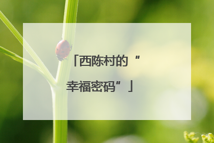 西陈村的“幸福密码”