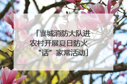 襄城消防大队进农村开展夏日防火“话”家常活动