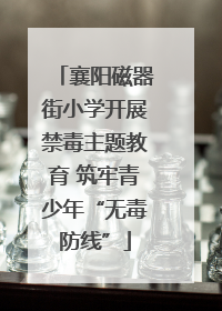 襄阳磁器街小学开展禁毒主题教育 筑牢青少年“无毒防线”