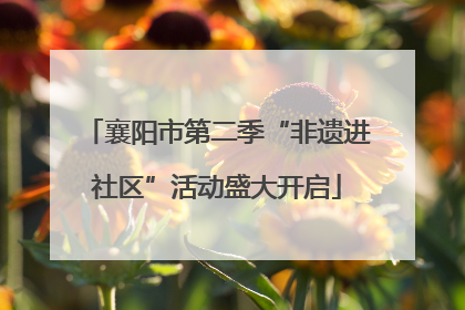 襄阳市第二季“非遗进社区”活动盛大开启