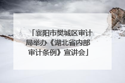 襄阳市樊城区审计局举办《湖北省内部审计条例》宣讲会