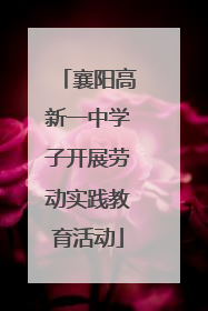 襄阳高新一中学子开展劳动实践教育活动