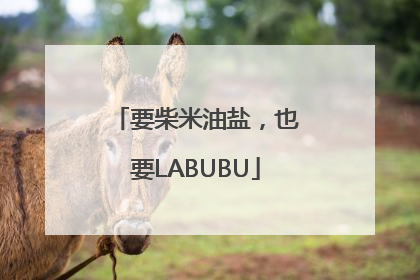 要柴米油盐，也要LABUBU