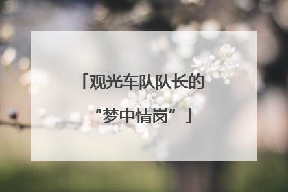 观光车队队长的“梦中情岗”