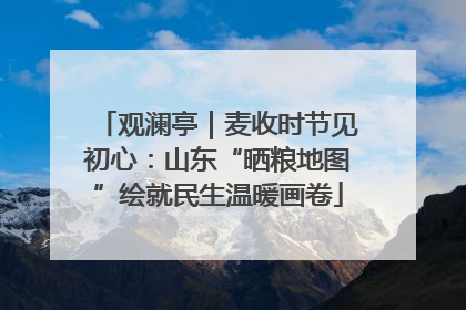 观澜亭｜麦收时节见初心：山东“晒粮地图”绘就民生温暖画卷