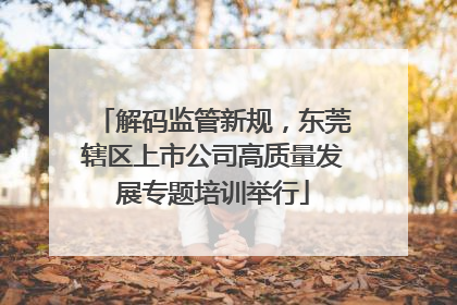解码监管新规，东莞辖区上市公司高质量发展专题培训举行