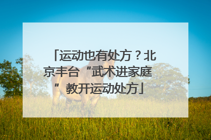 运动也有处方？北京丰台“武术进家庭”教开运动处方