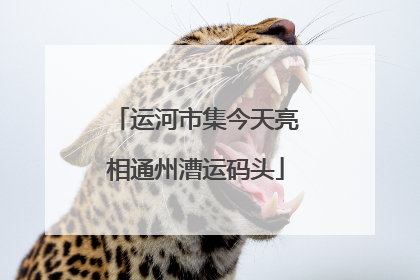 运河市集今天亮相通州漕运码头