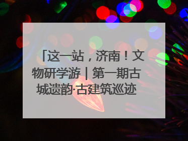 这一站，济南！文物研学游｜第一期古城遗韵·古建筑巡迹之旅圆满结束