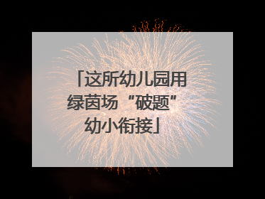 这所幼儿园用绿茵场“破题”幼小衔接