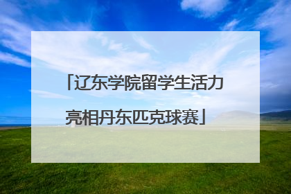 辽东学院留学生活力亮相丹东匹克球赛