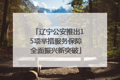 辽宁公安推出15项举措服务保障全面振兴新突破