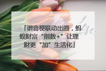 谐音梗联动出圈，蚂蚁财富“指数+”让理财更“加”生活化