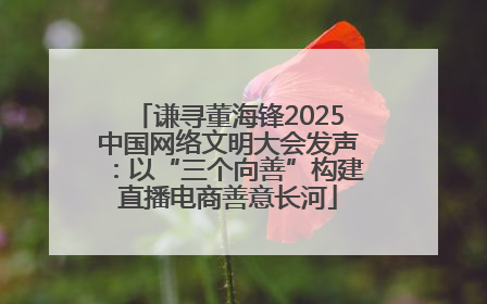 谦寻董海锋2025中国网络文明大会发声：以“三个向善”构建直播电商善意长河