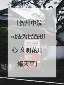 贺州中院：司法为民践初心 文明花开耀天平