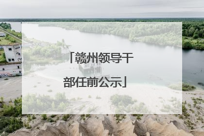 赣州领导干部任前公示
