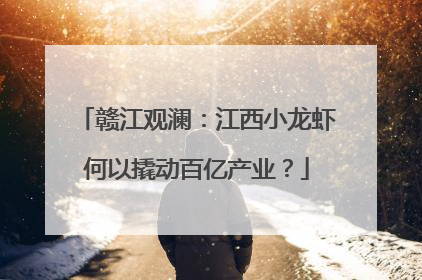 赣江观澜：江西小龙虾何以撬动百亿产业？