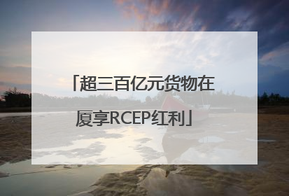 超三百亿元货物在厦享RCEP红利