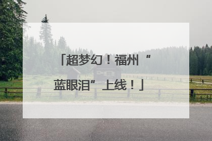 超梦幻！福州“蓝眼泪”上线！