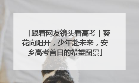 跟着网友镜头看高考｜葵花向阳开，少年赴未来，安乡高考首日的希望图景