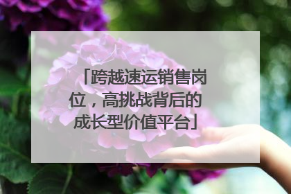 跨越速运销售岗位，高挑战背后的成长型价值平台