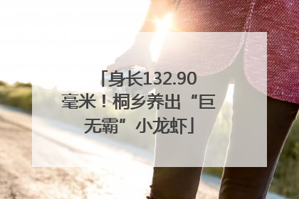 身长132.90毫米！桐乡养出“巨无霸”小龙虾