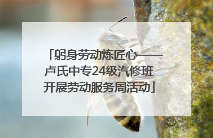 躬身劳动炼匠心——卢氏中专24级汽修班开展劳动服务周活动
