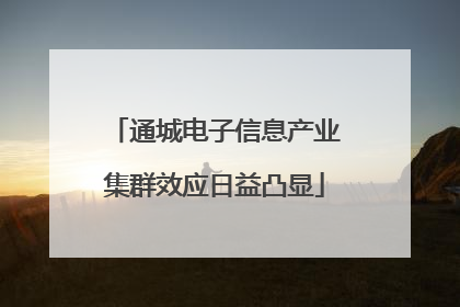通城电子信息产业集群效应日益凸显