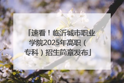 速看！临沂城市职业学院2025年高职（专科）招生简章发布