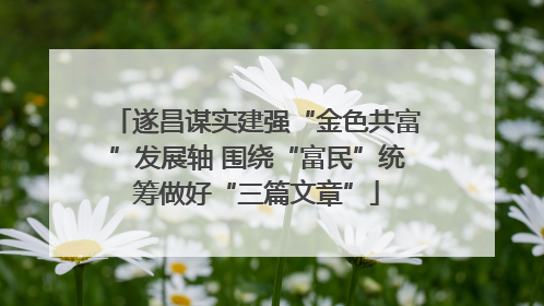 遂昌谋实建强“金色共富”发展轴 围绕“富民”统筹做好“三篇文章”