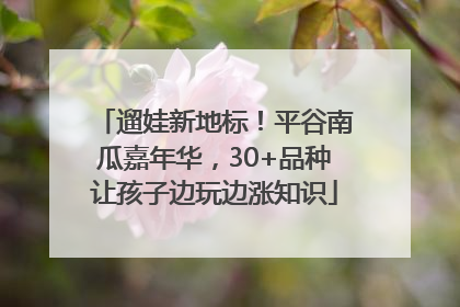 遛娃新地标！平谷南瓜嘉年华，30+品种让孩子边玩边涨知识