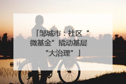 邹城市：社区“微基金”撬动基层“大治理”