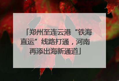 郑州至连云港“铁海直运”线路打通，河南再添出海新通道