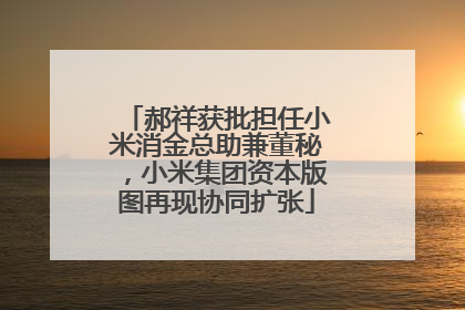 郝祥获批担任小米消金总助兼董秘，小米集团资本版图再现协同扩张