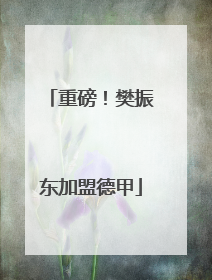 重磅！樊振东加盟德甲