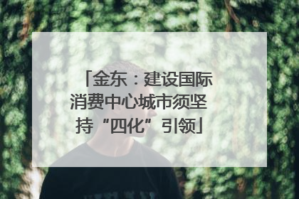 金东：建设国际消费中心城市须坚持“四化”引领