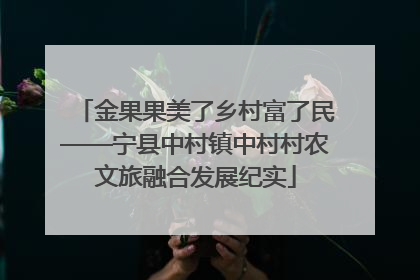 金果果美了乡村富了民——宁县中村镇中村村农文旅融合发展纪实
